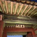 달빛 | 창덕궁 달빛기행 후기 |제주에서 올라온 도로시의 고궁 야간 산책 (내돈내산!)