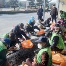 옹동면사무소 이미지