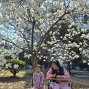 혜민한방병원 이미지