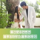 울산문수컨벤션 블루밍하우스 방문 후기, 직접 보니 더 예뻤어요! 그리너리한 감성이 뿜뿜