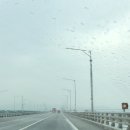 Dream of 2021 Summer Concert | 2025 백예린 콘서트 Flash and Core : 아주아주 많은 사진 움짤 영상 ₍ᐢ..ᐢ₎⊹‪*･ﾟ｡☆‬