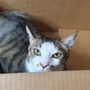 멈무는하루 이미지