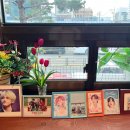 성지다방 | [ 을지로 카페] BTS 성지 SINCE 1985 노른자 쌍화차 맛집 { 을지 다방}후기