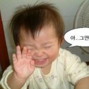 미니스컷트 Daum카페