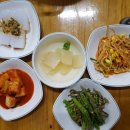 현대물텀벙이 이미지