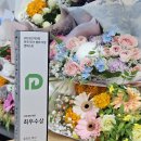 셀린약국 이미지