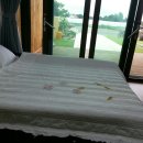 해뜨는집펜션 이미지