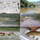 통나무펜션 이미지