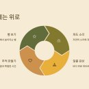 속초해변 국민여가 캠핑장 이미지