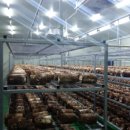 송원농원 이미지