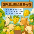 안기농장 이미지