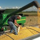 초월농장 이미지