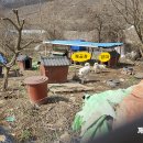 깨골농장 이미지