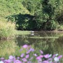 진상 그라운드골프장 이미지