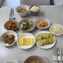 봄소리산후도우미 | 창원 봄소리 산후도우미 후기 :: 너무 너무 만족스러웠던 창원 산후도우미 업체 추천!