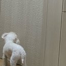 동그라미치킨식당 이미지