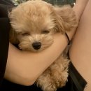 코즈닉스튜디오 이미지