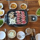 하계생오리