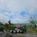 나들농장 | 아이랑 체험농장 비오는날도 가능한 포레스트벨 동물체험장 재방문 후기