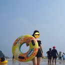 다포회타운 이미지