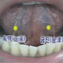 금진