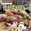 침산공원(B) | 스시유카리 침산동 맛집 추천 판초밥 B세트 솔직후기