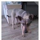 경동동물병원 이미지