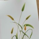 힐링 꽃과 식물 세밀화 이미지