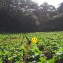 동강공인중개사사무소 이미지