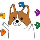 편하개 놀다가냥 이미지