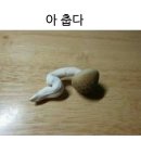 고은 에스테틱 이미지
