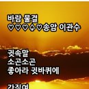 바람과물결