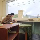 3층주민사랑방 | 2026년 상반기 그림작가 두렁앤팜 플리마켓 참가 후기 : 썬데이울산마켓 / 도담마켓 / 사사마켓(사사소플)