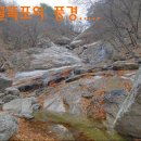 설악산유스호스텔