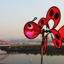 인더코리아 이미지