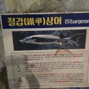 제토산업 | 시원한 동굴 속 특별한 여행, 충주 활옥동굴 💎 갈까 말까 질문 빛나는 동굴길과 보트 체험이 인상적...