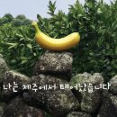 스위트몽키(SWEETMONKEY)