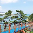 울산 가볼만한 곳 추천! 바다 위 303m 걷는 대왕암공원 출렁다리 여행 이미지