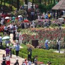 곡성-231 이미지