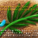 (주)해피나무 이미지