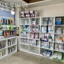 필립동물병원 이미지