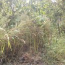 웅포농장 이미지