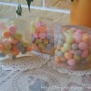 동그리솝 이미지