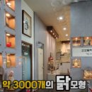 꼬꼬커피