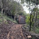 바람재 쉼터 화장실 | 진해 대표 명물 시루봉과 함께한 가을 산행!