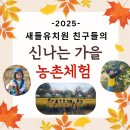 새들유치원 이미지