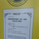 통정흑염소 이미지