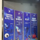 대전 엑스포 아쿠아리움 체험+공연+놀이 알차게 즐기는 꿀팁