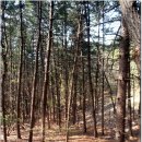 석불주유소 이미지