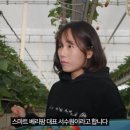 청년 베리팜 이미지